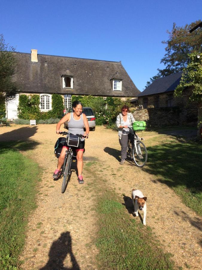 La Mouliniere, Jolie Longere Du Xviie Bed and Breakfast La Jaille-Yvon Exteriör bild