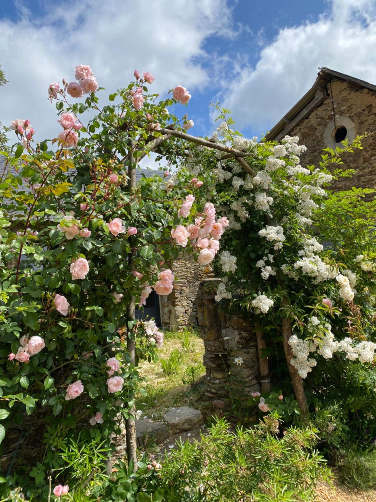 La Mouliniere, Jolie Longere Du Xviie Bed and Breakfast La Jaille-Yvon Exteriör bild