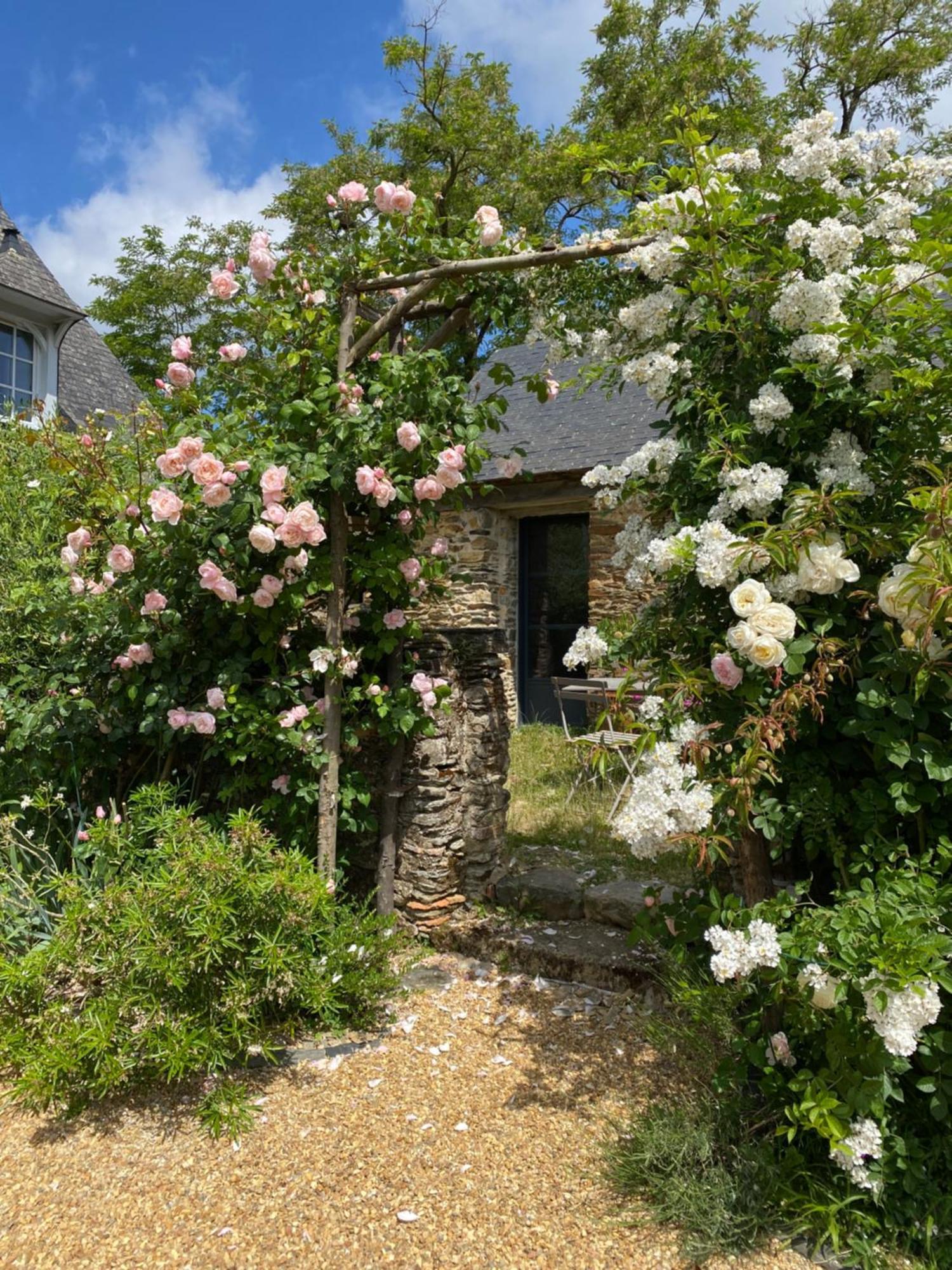 La Mouliniere, Jolie Longere Du Xviie Bed and Breakfast La Jaille-Yvon Exteriör bild